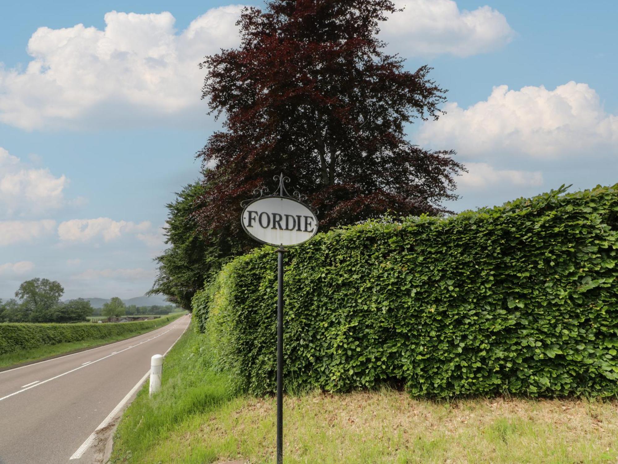 Fordie South * Крифф